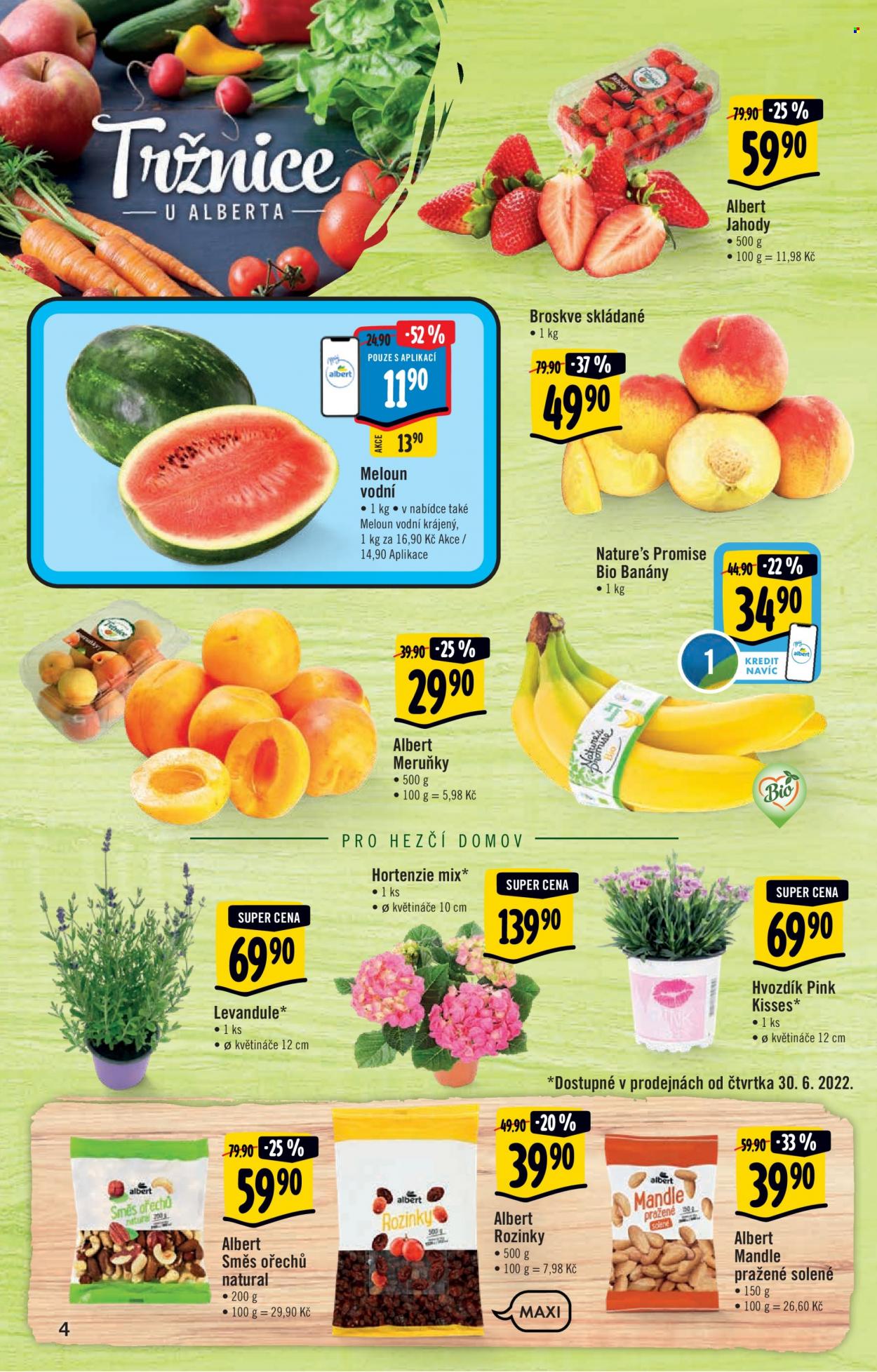 Leták Albert Hypermarket - 29.6.2022 - 5.7.2022. Strana 4