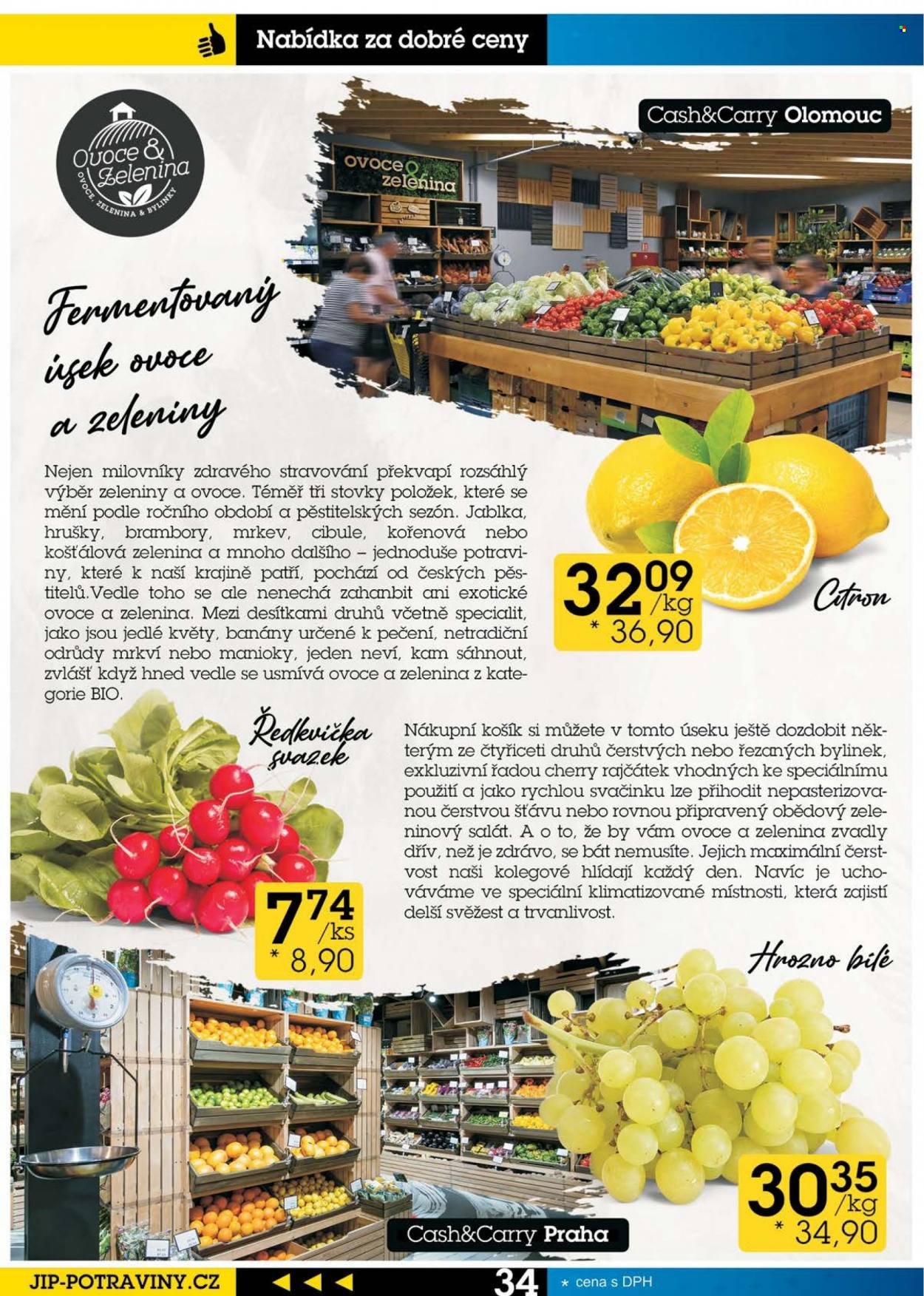Leták JIP - 31.8.2022 - 12.9.2022. Strana 34
