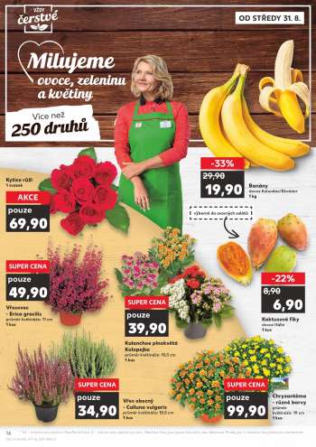 thumbnail - Vřesovec - Erica gracilis