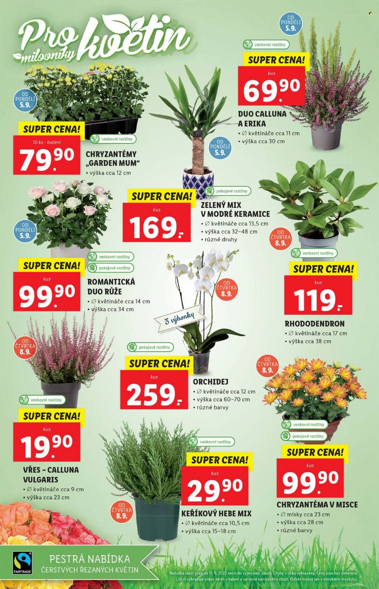 Leták Lidl - 5.9.2022 - 11.9.2022. Strana 22