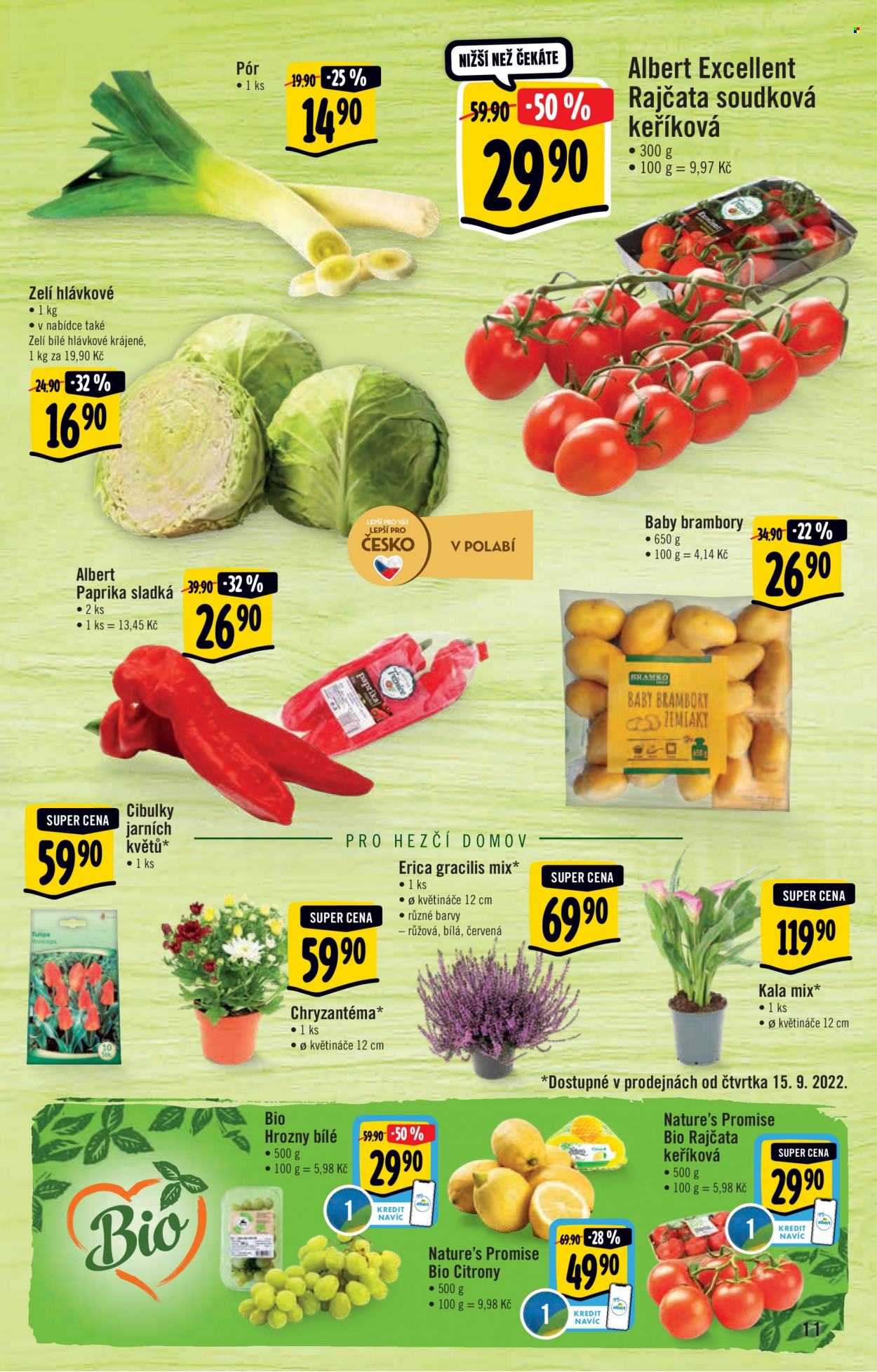 Leták Albert Hypermarket - 14.9.2022 - 20.9.2022. Strana 11