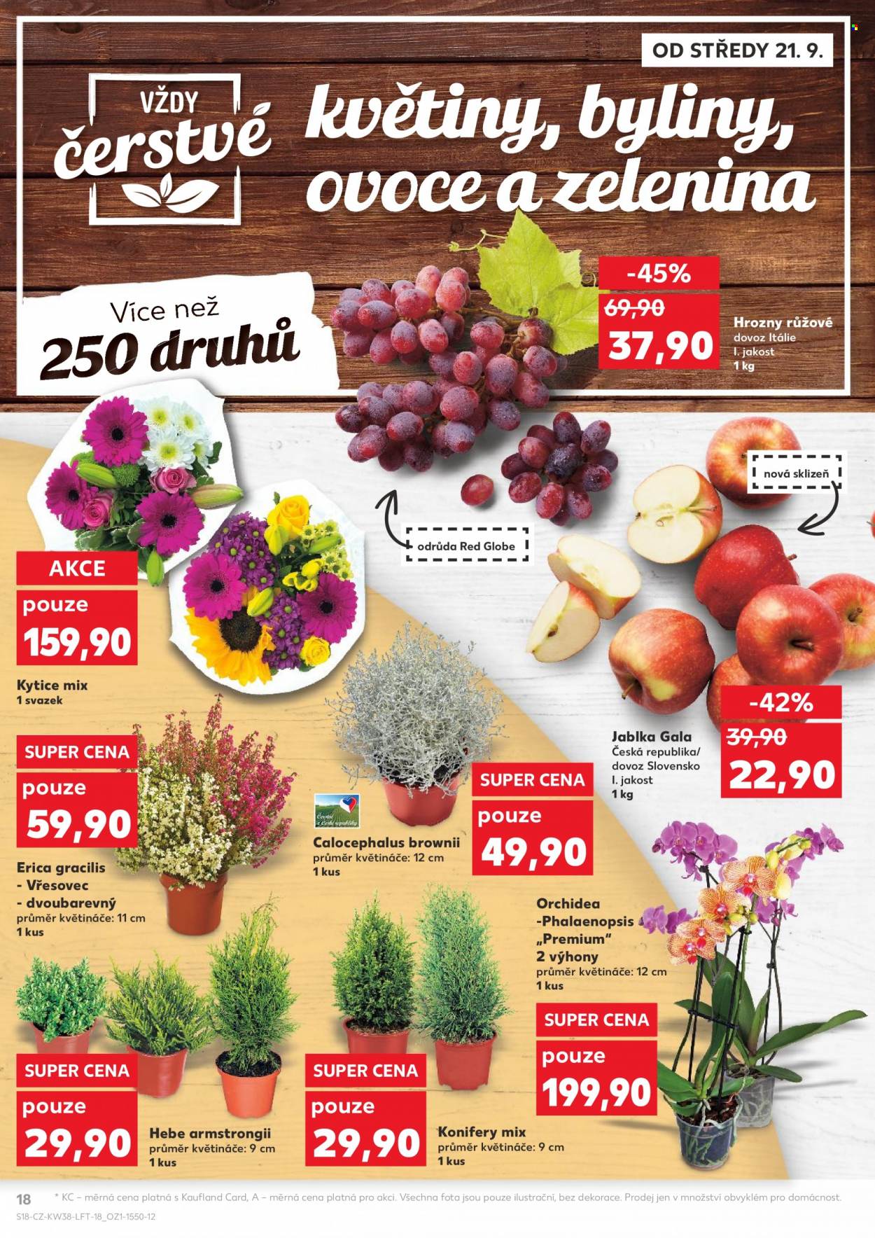 Leták Kaufland - 21.9.2022 - 27.9.2022. Strana 18