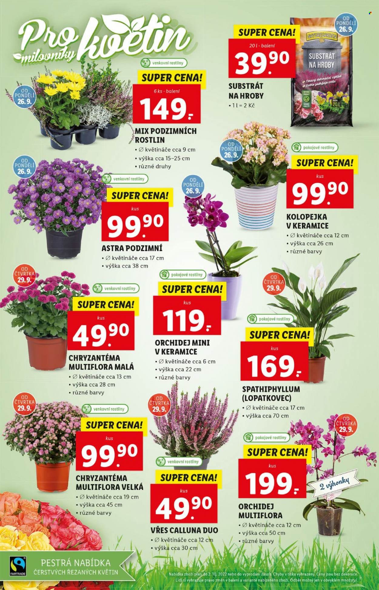 Leták Lidl - 26.9.2022 - 2.10.2022. Strana 24