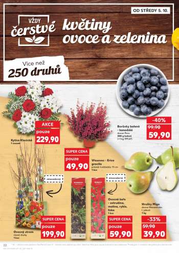 thumbnail - Vřesovec - Erica gracilis