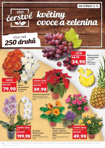 thumbnail - Mix kvetoucích rostlin - Gerbera
