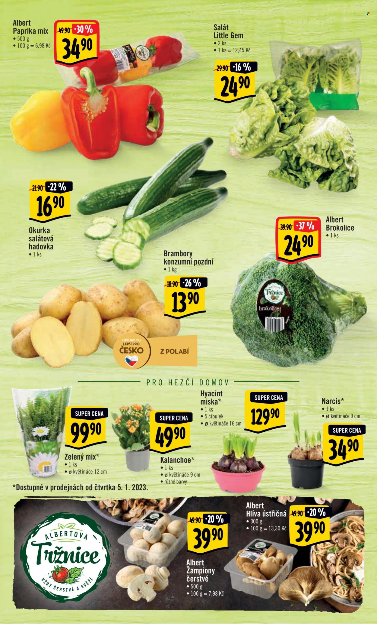 Leták Albert Hypermarket - 2.1.2023 - 10.1.2023. Strana 9