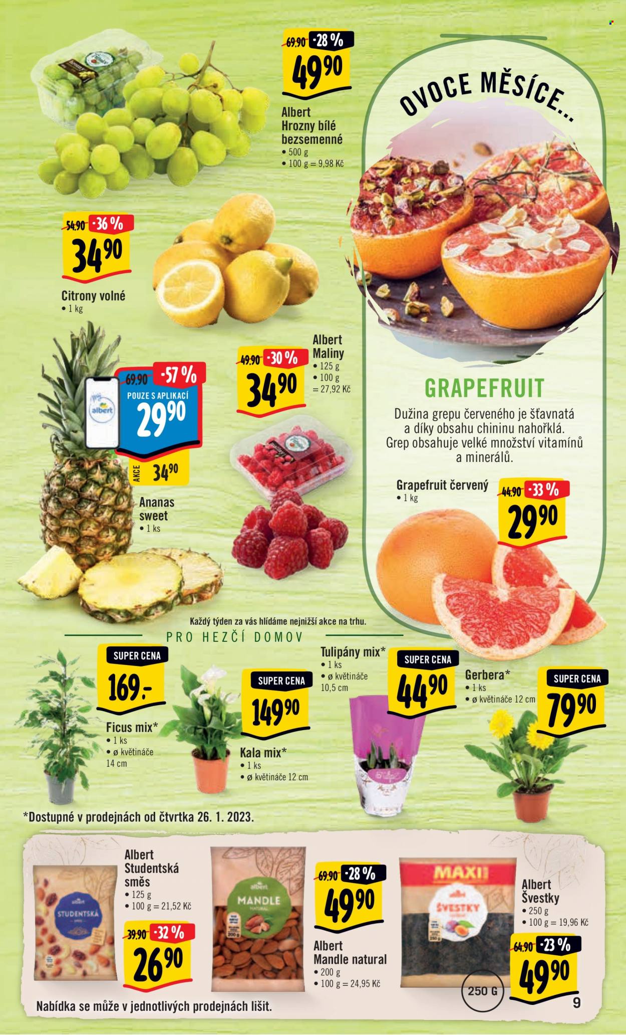Leták Albert Hypermarket - 25.1.2023 - 31.1.2023. Strana 9