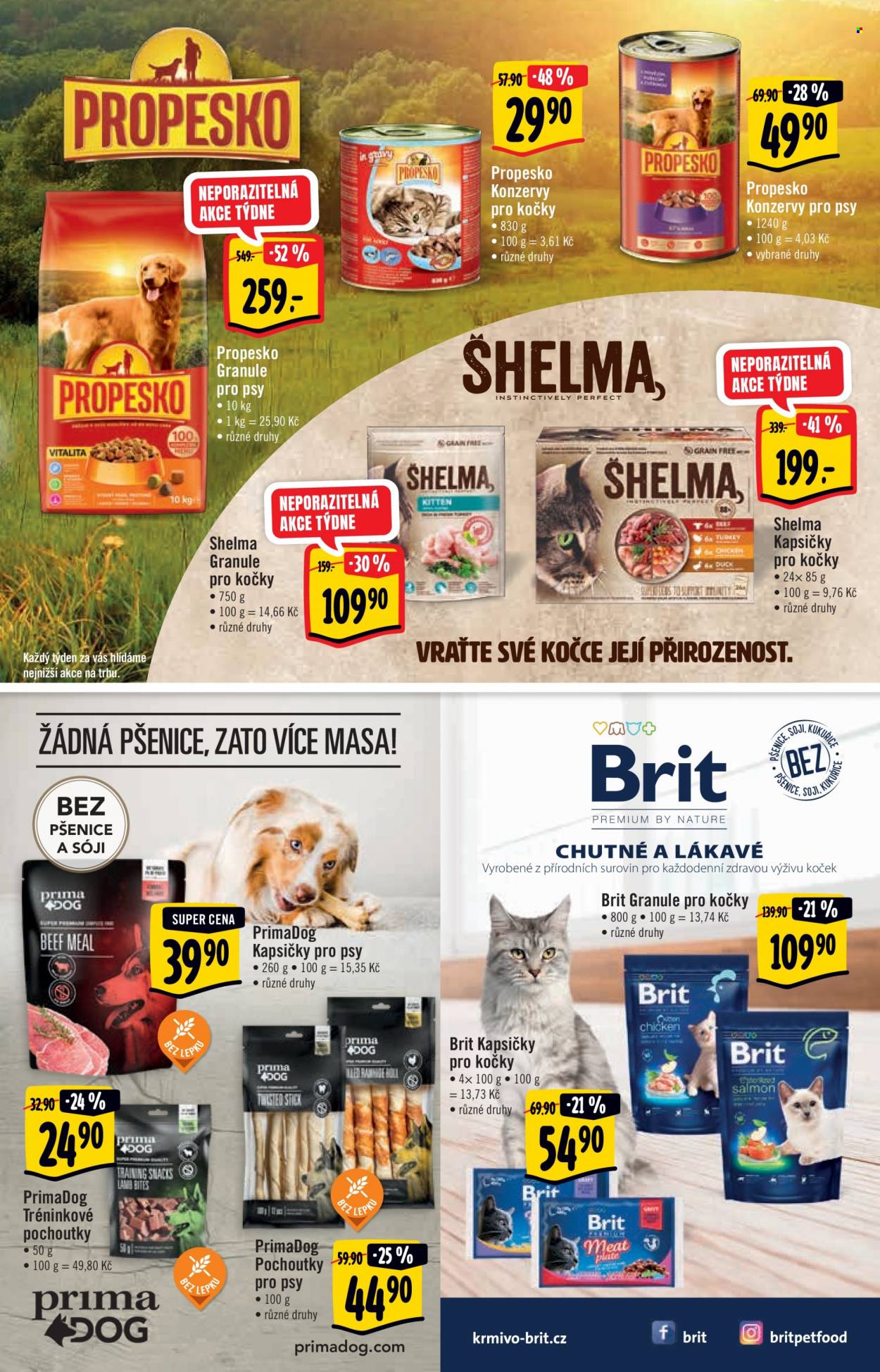 Leták Albert Hypermarket - 1.2.2023 - 14.2.2023. Strana 31