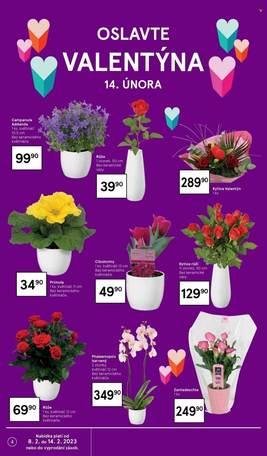 Leták TESCO - 8.2.2023 - 14.2.2023. Strana 4