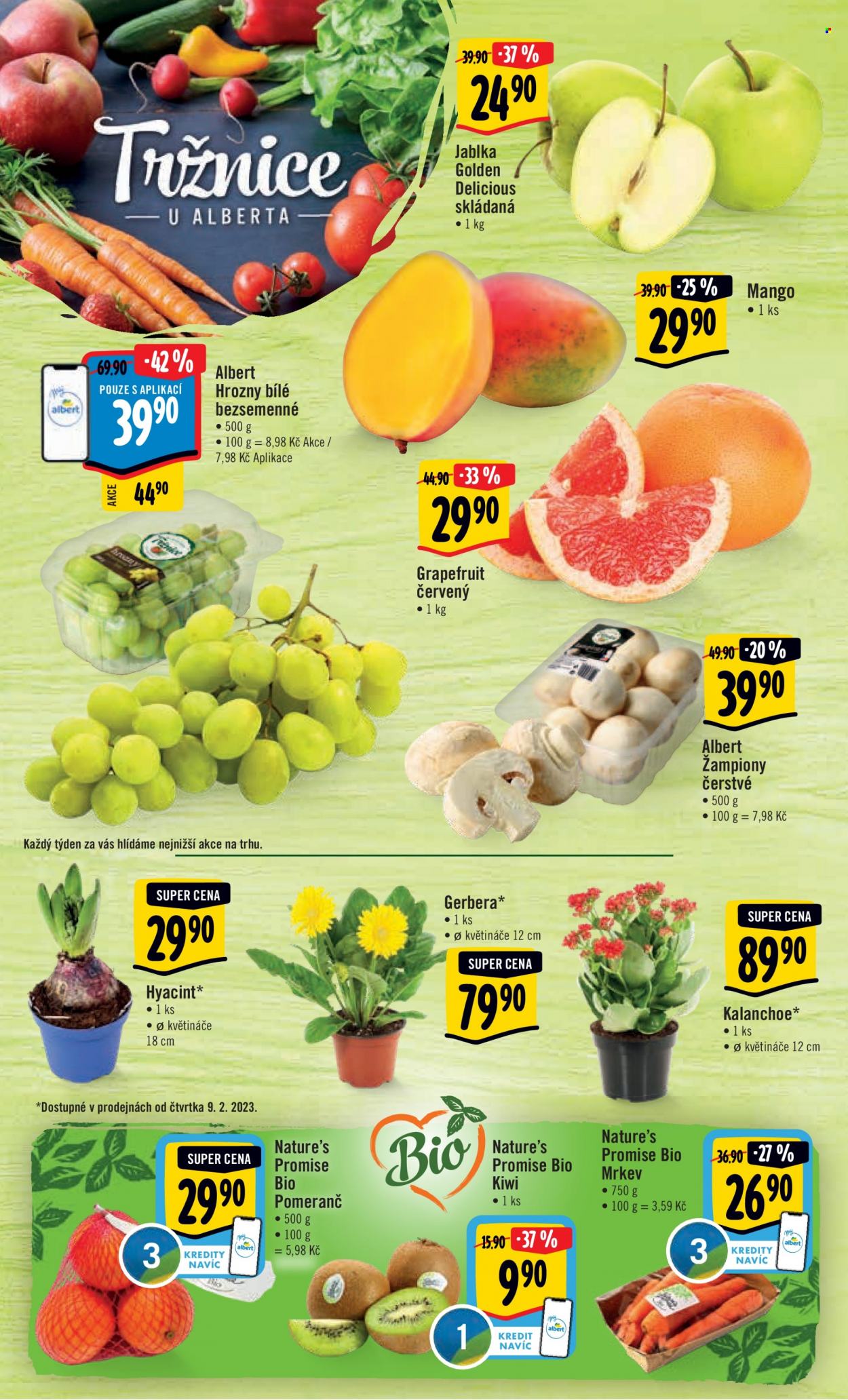 Leták Albert Hypermarket - 8.2.2023 - 14.2.2023. Strana 8