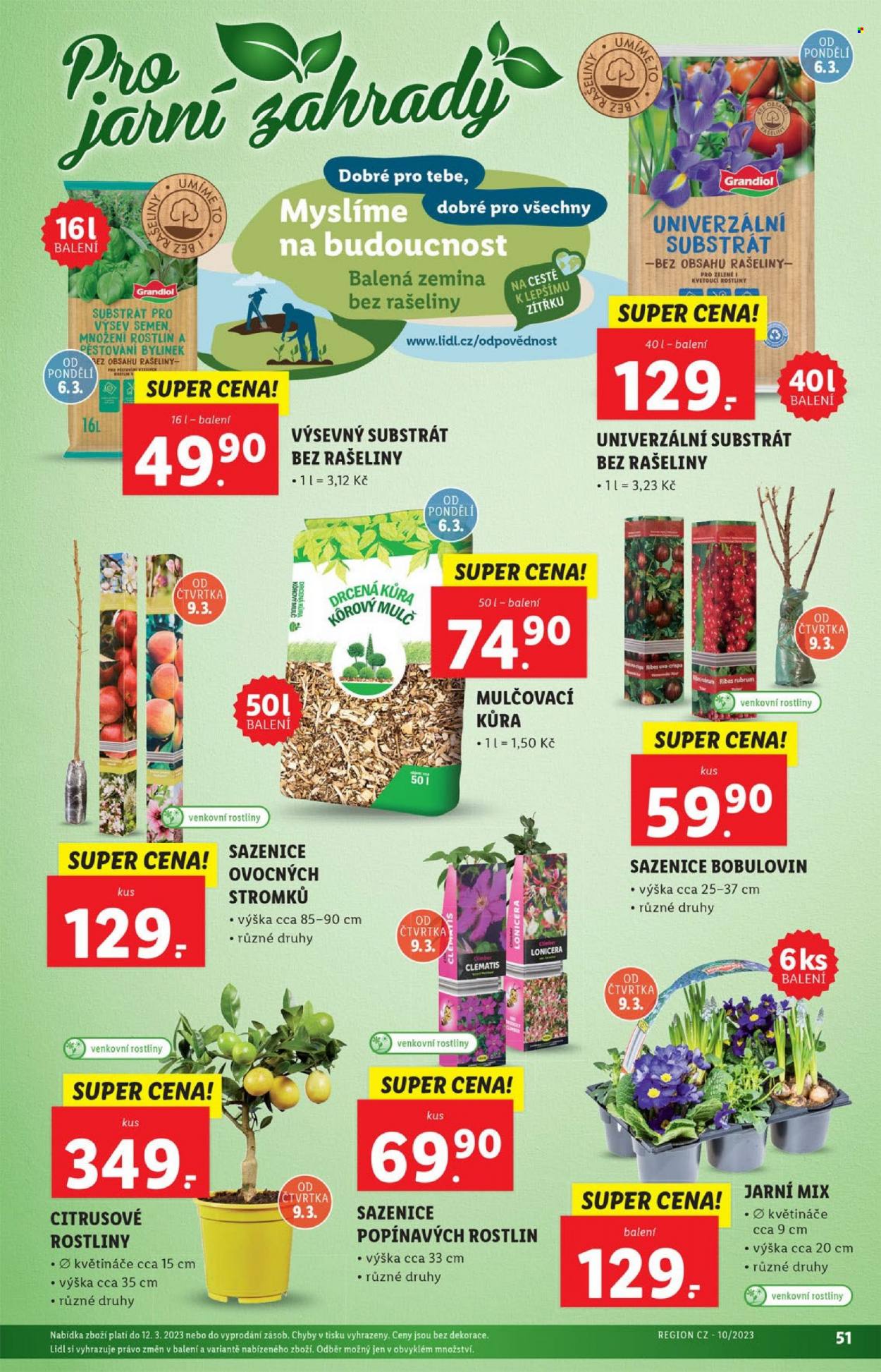 Leták Lidl - 6.3.2023 - 12.3.2023. Strana 51