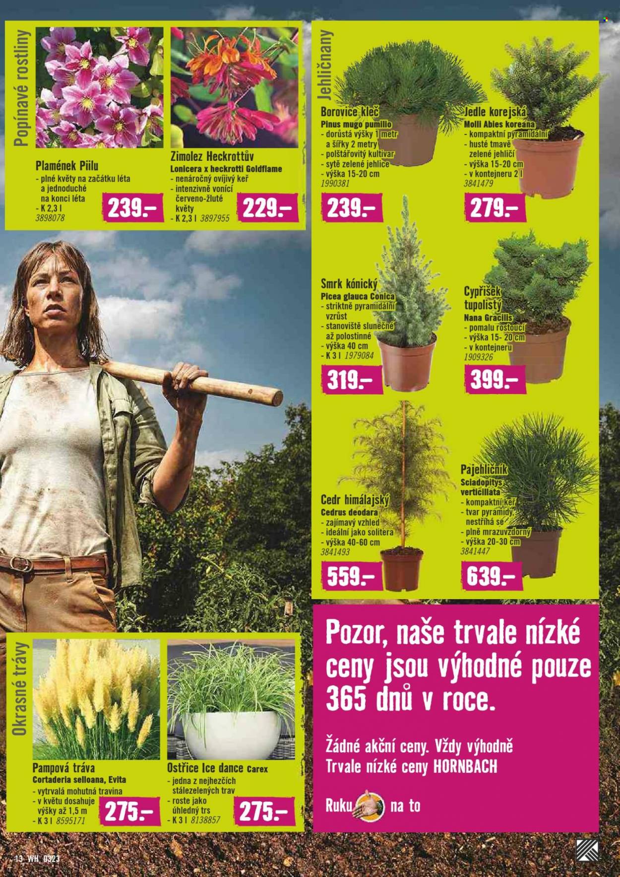 Leták HORNBACH - 8.3.2023 - 24.3.2023. Strana 13
