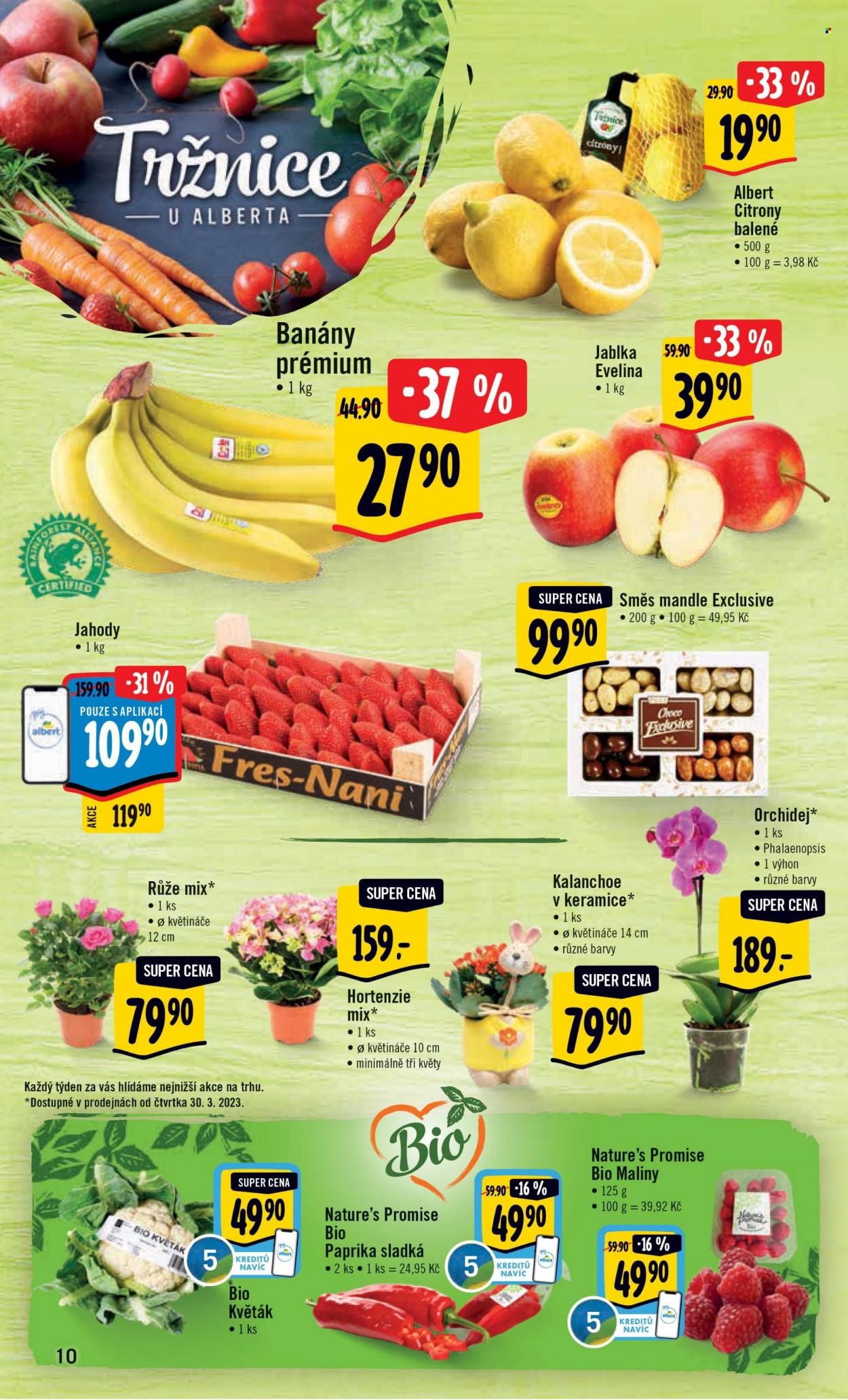 Leták Albert Hypermarket - 29.3.2023 - 4.4.2023. Strana 10