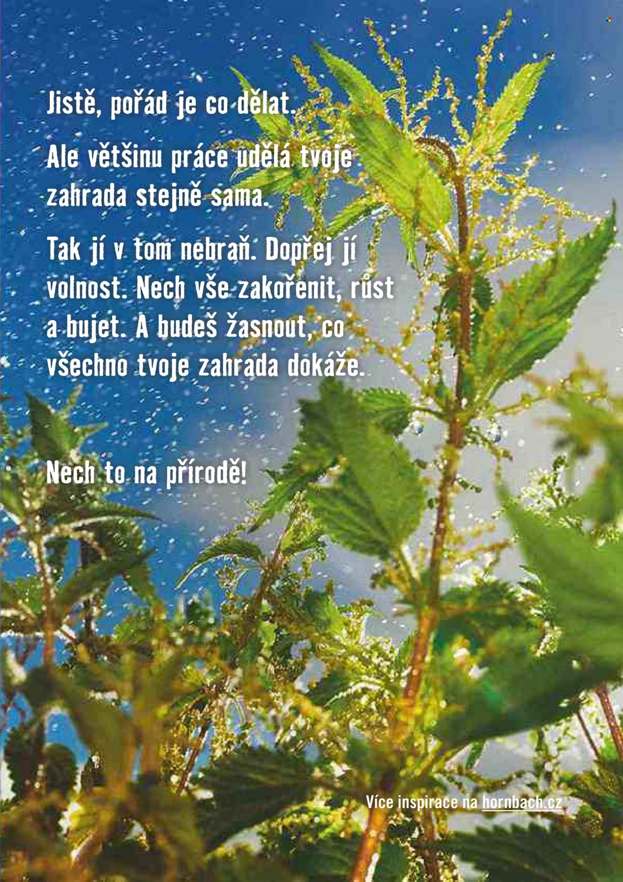 Leták HORNBACH - 12.4.2023 - 2.5.2023. Strana 3