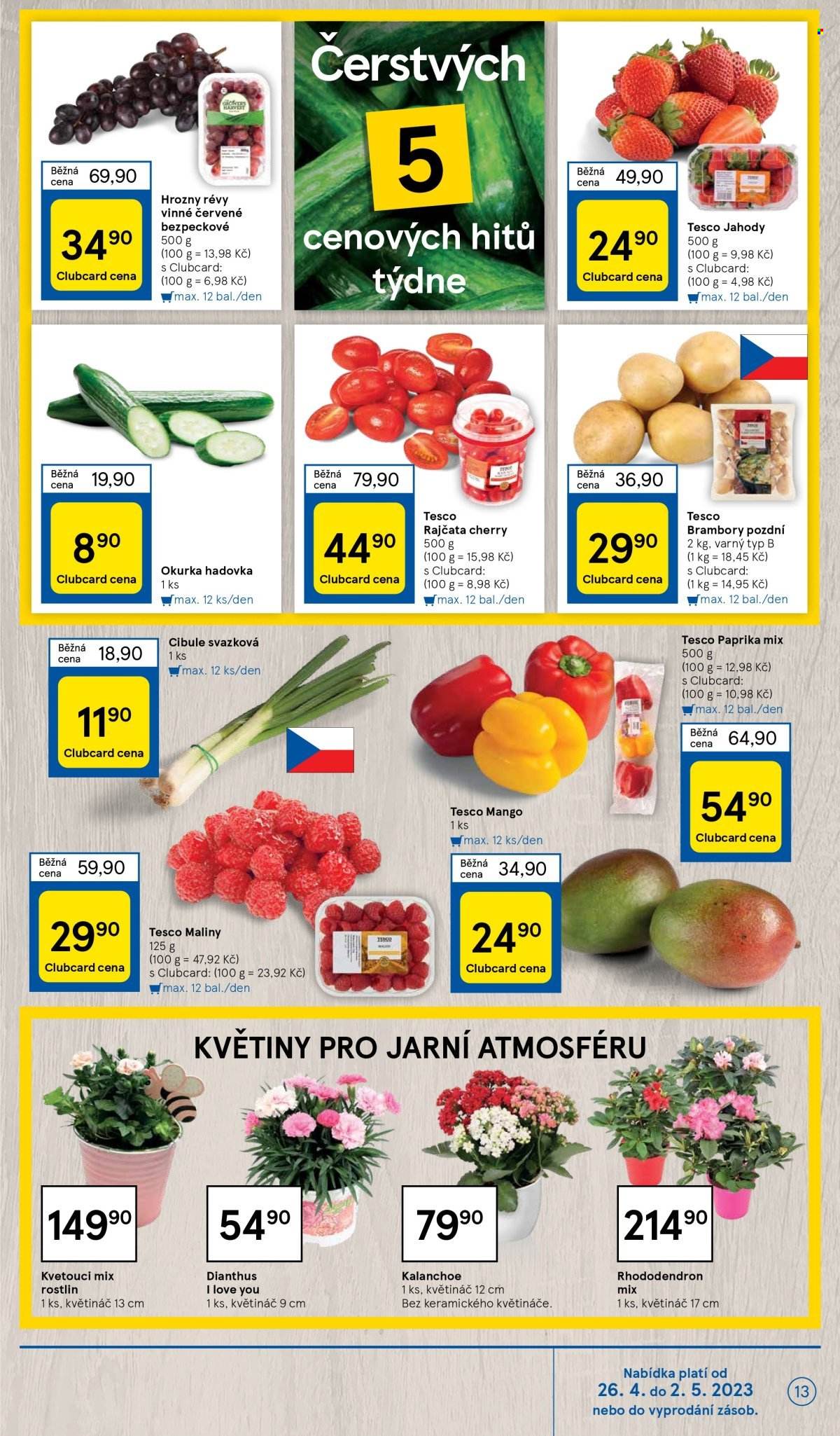 Leták TESCO - 26.4.2023 - 2.5.2023. Strana 13