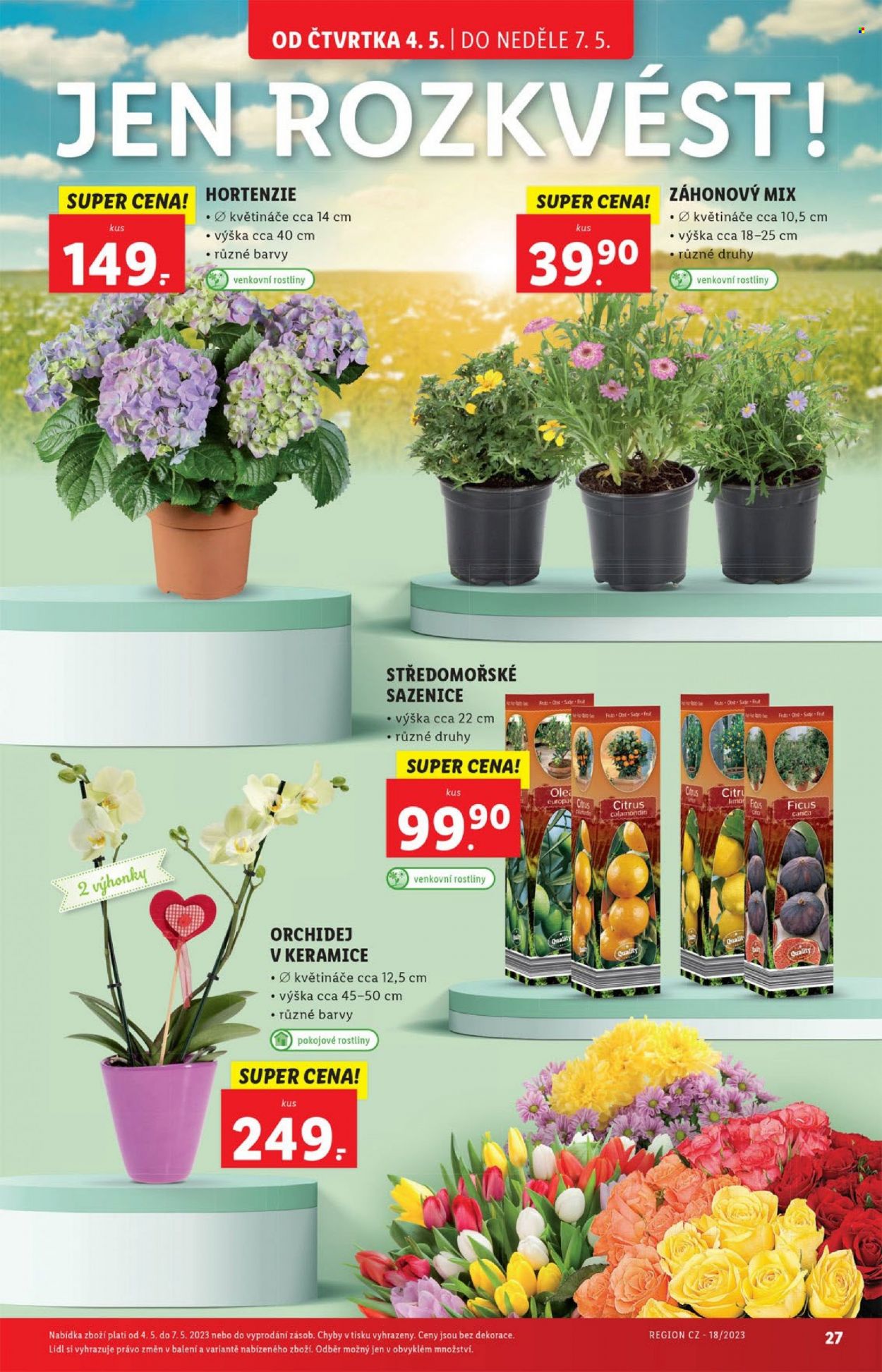 Leták Lidl - 4.5.2023 - 7.5.2023. Strana 27