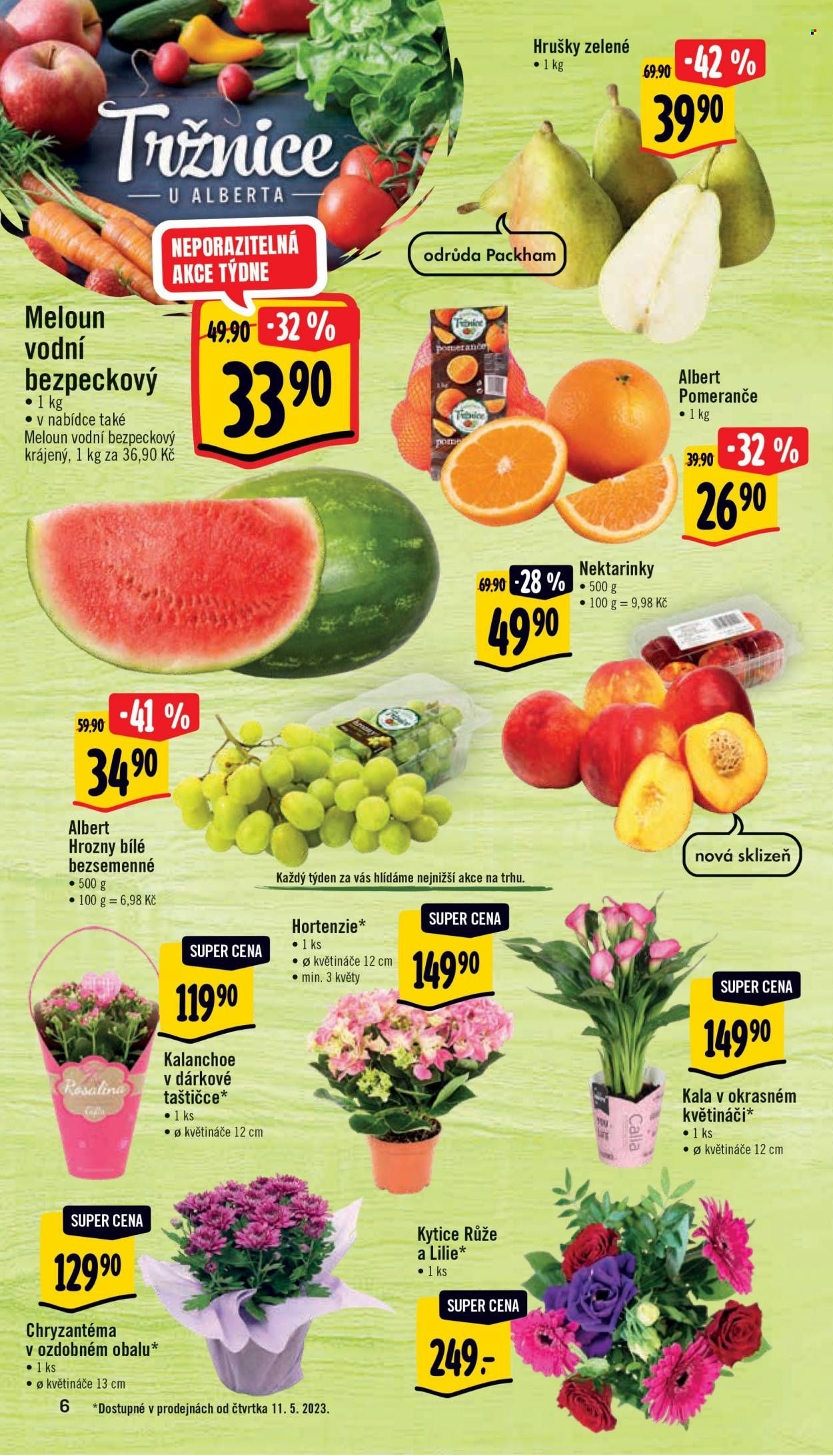Leták Albert Supermarket - 10.5.2023 - 16.5.2023. Strana 6