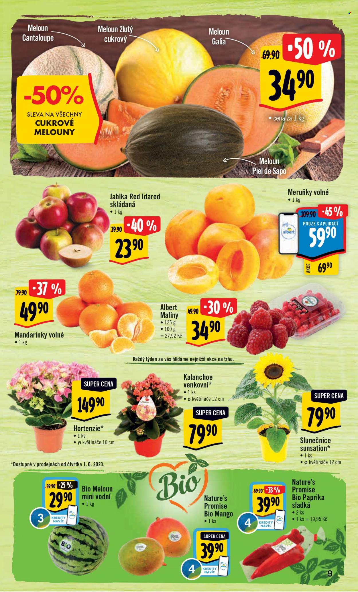 Leták Albert Hypermarket - 31.5.2023 - 6.6.2023. Strana 10