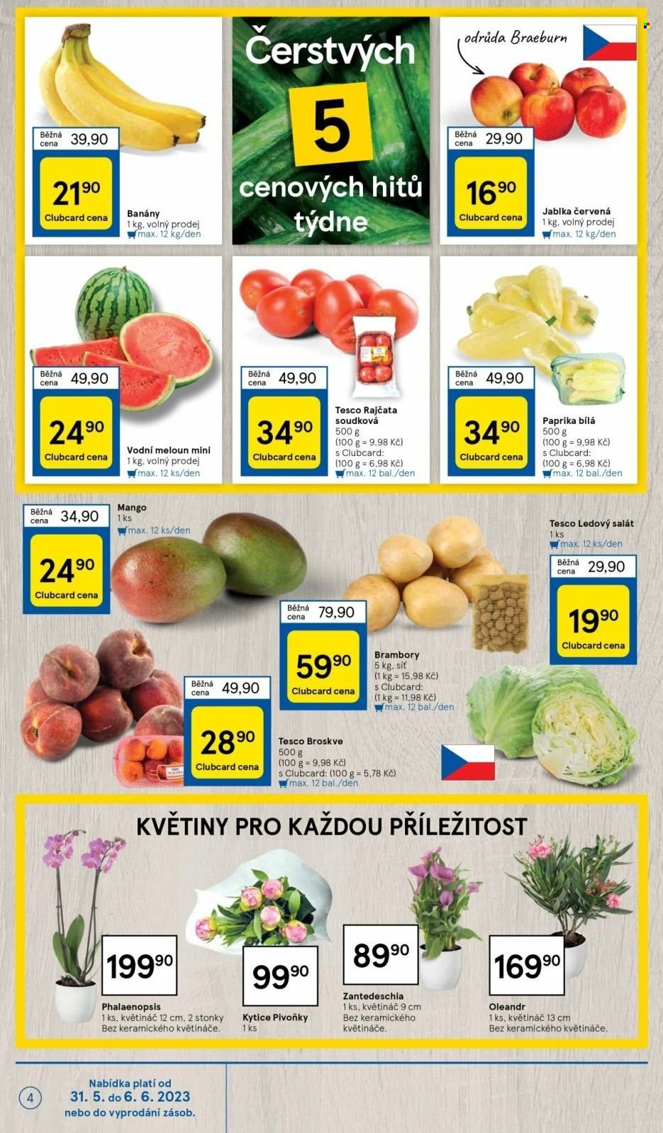 Leták TESCO - 31.5.2023 - 6.6.2023. Strana 4