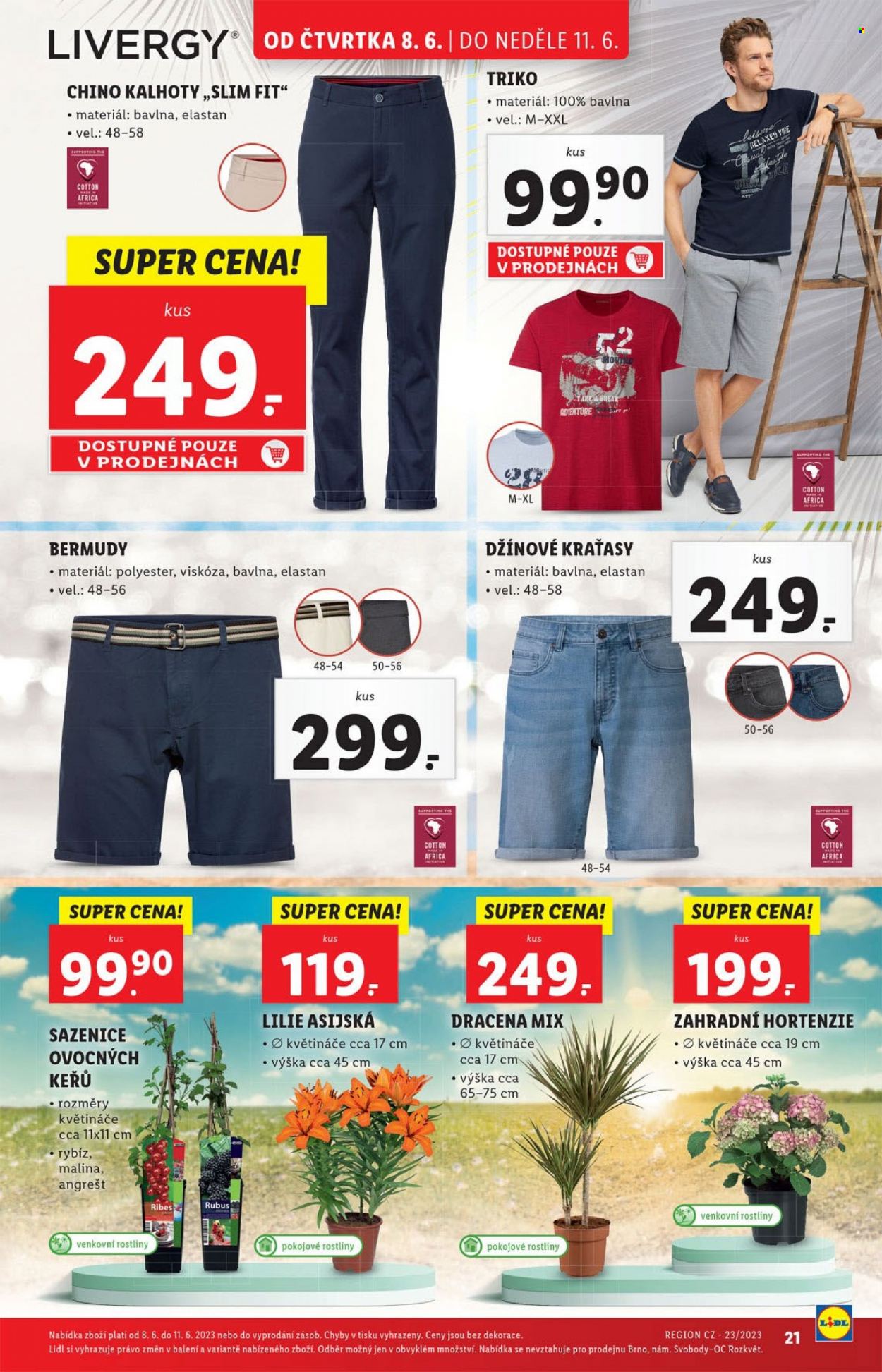 Leták Lidl - 8.6.2023 - 11.6.2023. Strana 21