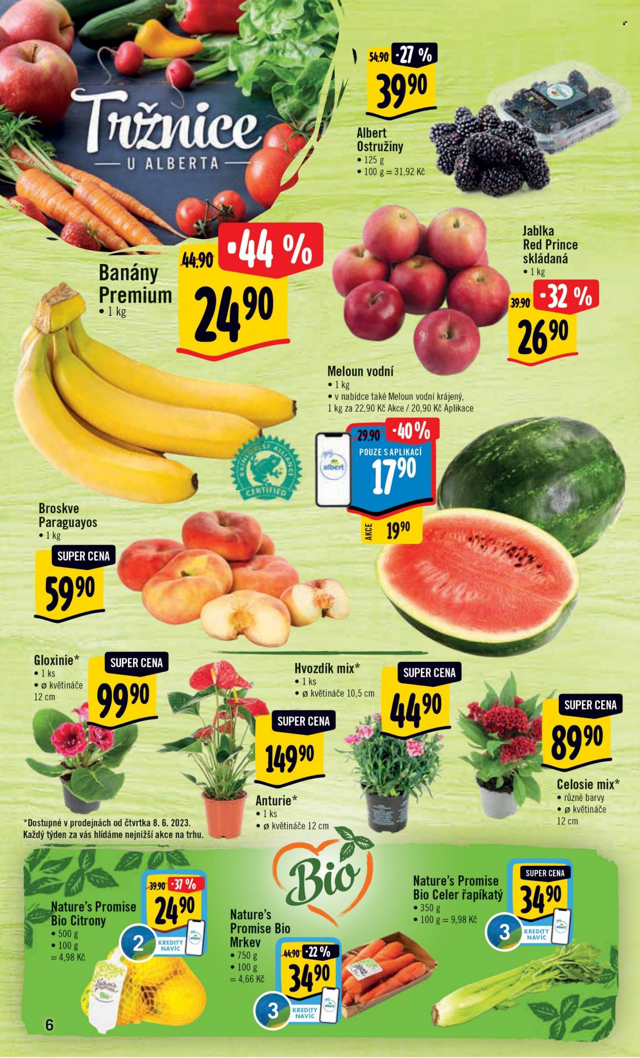 Leták Albert Hypermarket - 7.6.2023 - 13.6.2023. Strana 6