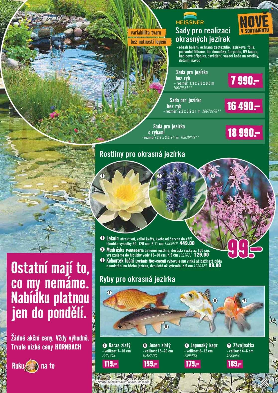 Leták HORNBACH - 7.6.2023 - 20.6.2023. Strana 7