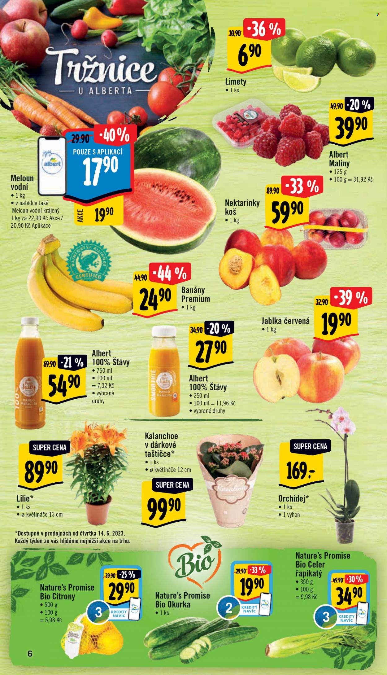 Leták Albert Supermarket - 14.6.2023 - 20.6.2023. Strana 6