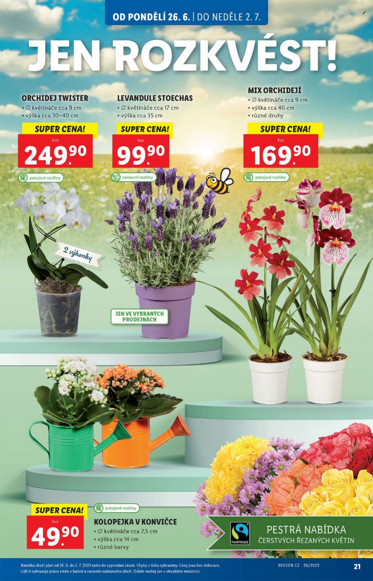 Leták Lidl - 26.6.2023 - 2.7.2023. Strana 21