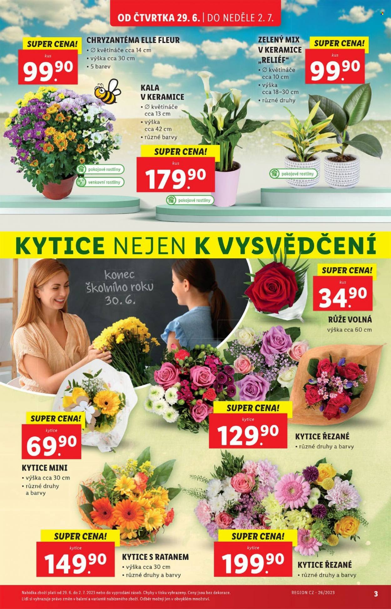 Leták Lidl - 29.6.2023 - 2.7.2023. Strana 3