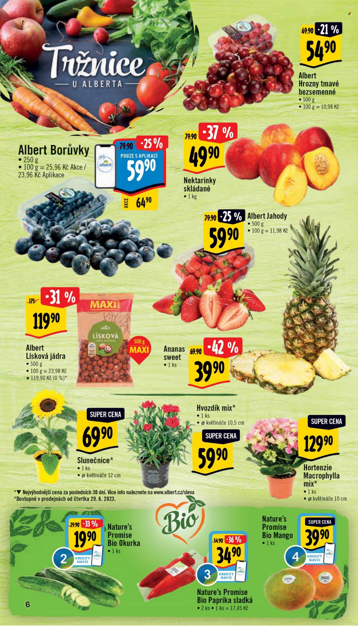 Leták Albert Supermarket - 28.6.2023 - 4.7.2023. Strana 6