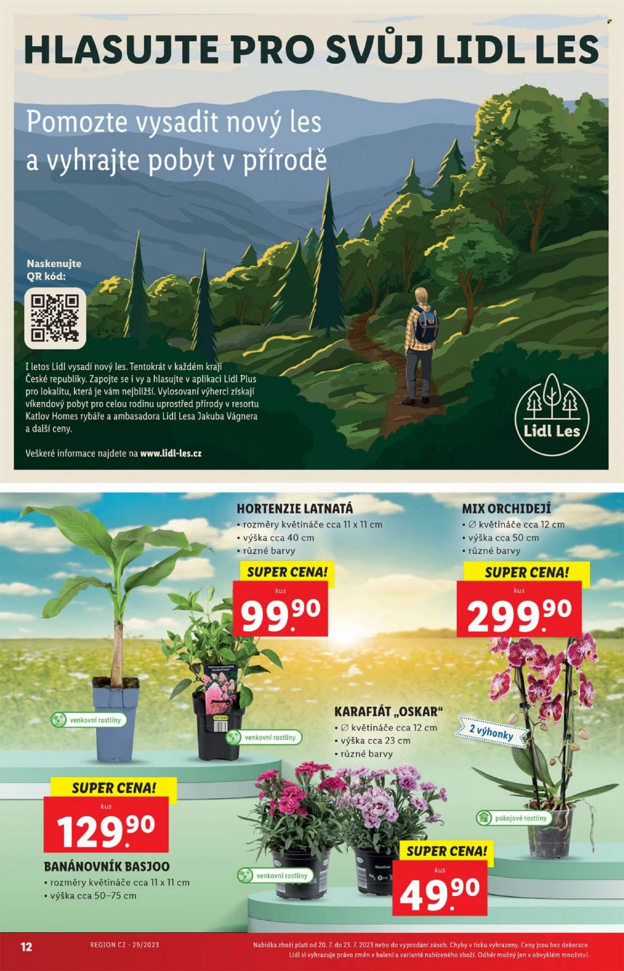 Leták Lidl - 20.7.2023 - 23.7.2023. Strana 12