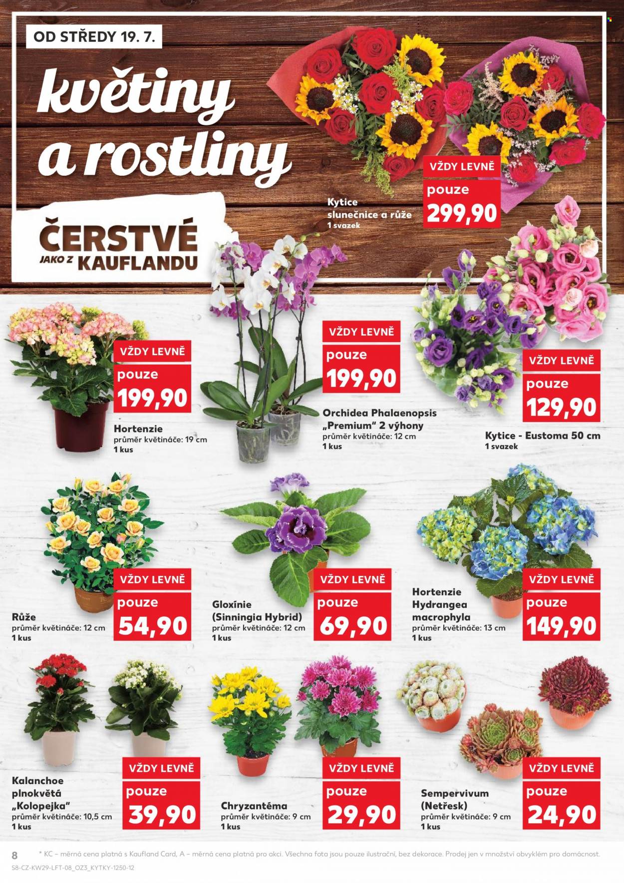 Leták Kaufland - 19.7.2023 - 25.7.2023. Strana 8