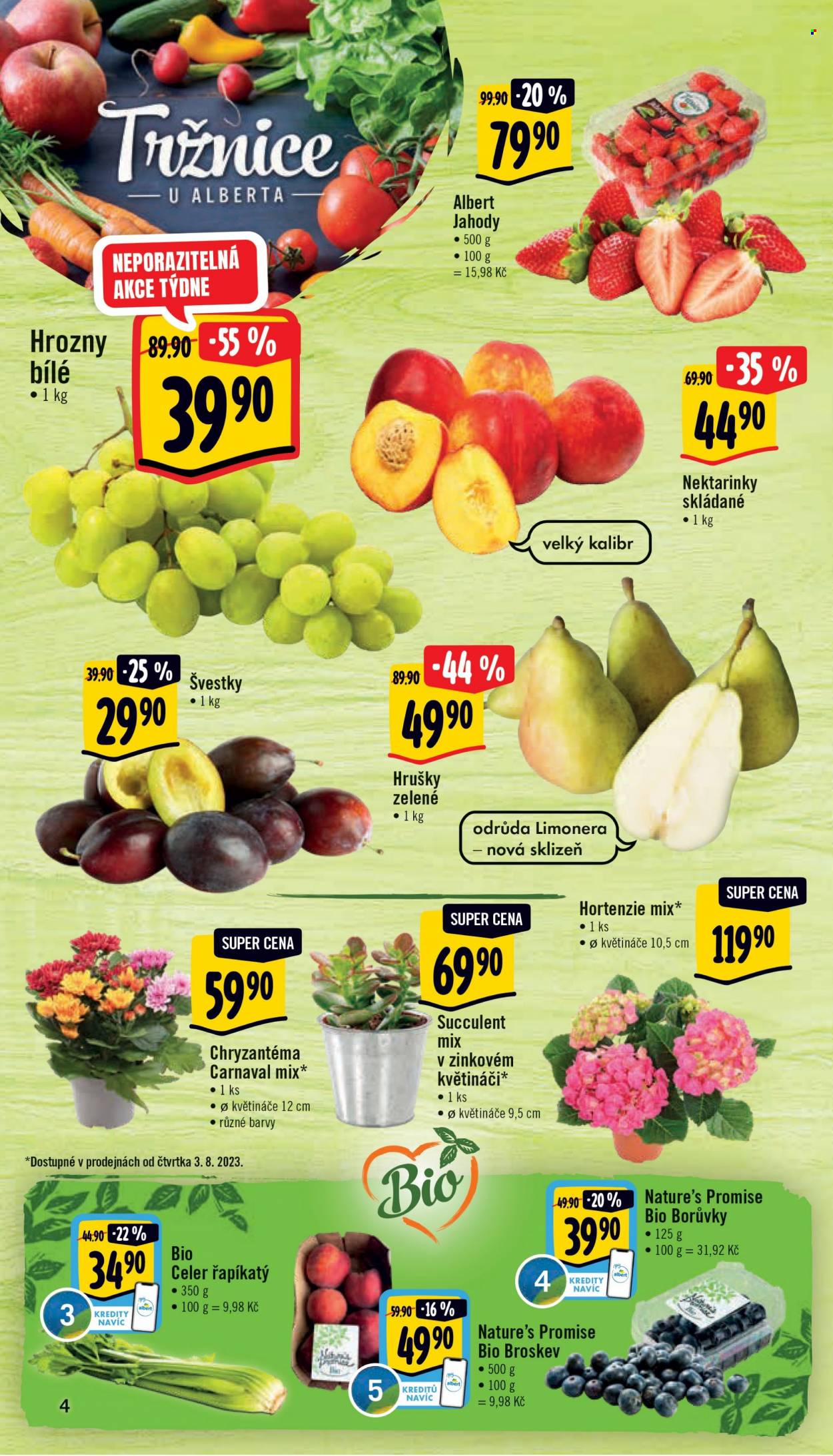 Leták Albert Supermarket - 2.8.2023 - 8.8.2023. Strana 4