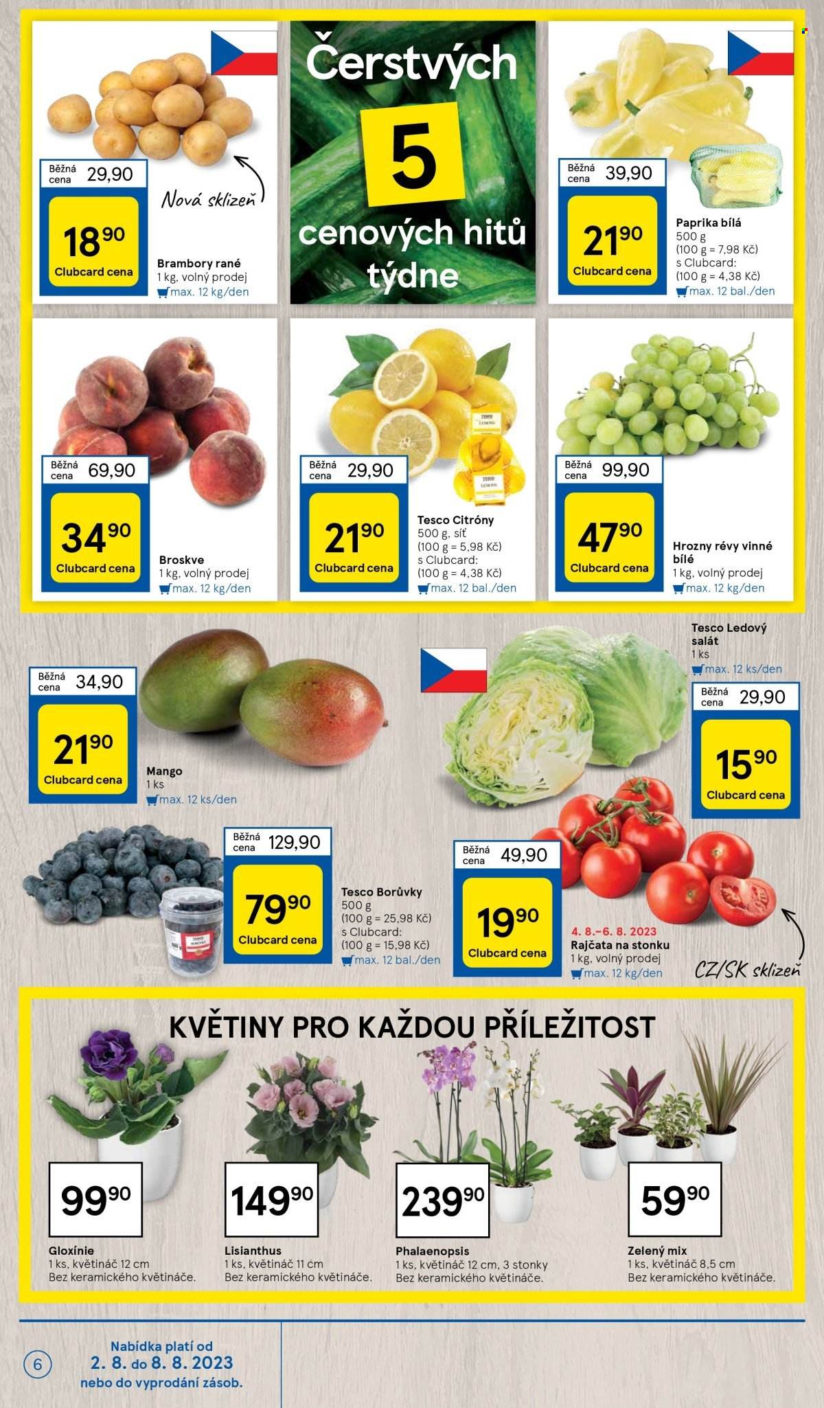 Leták TESCO - 2.8.2023 - 8.8.2023. Strana 6