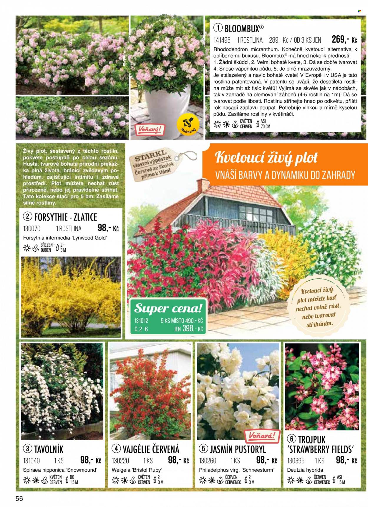 Leták Starkl. Strana 56