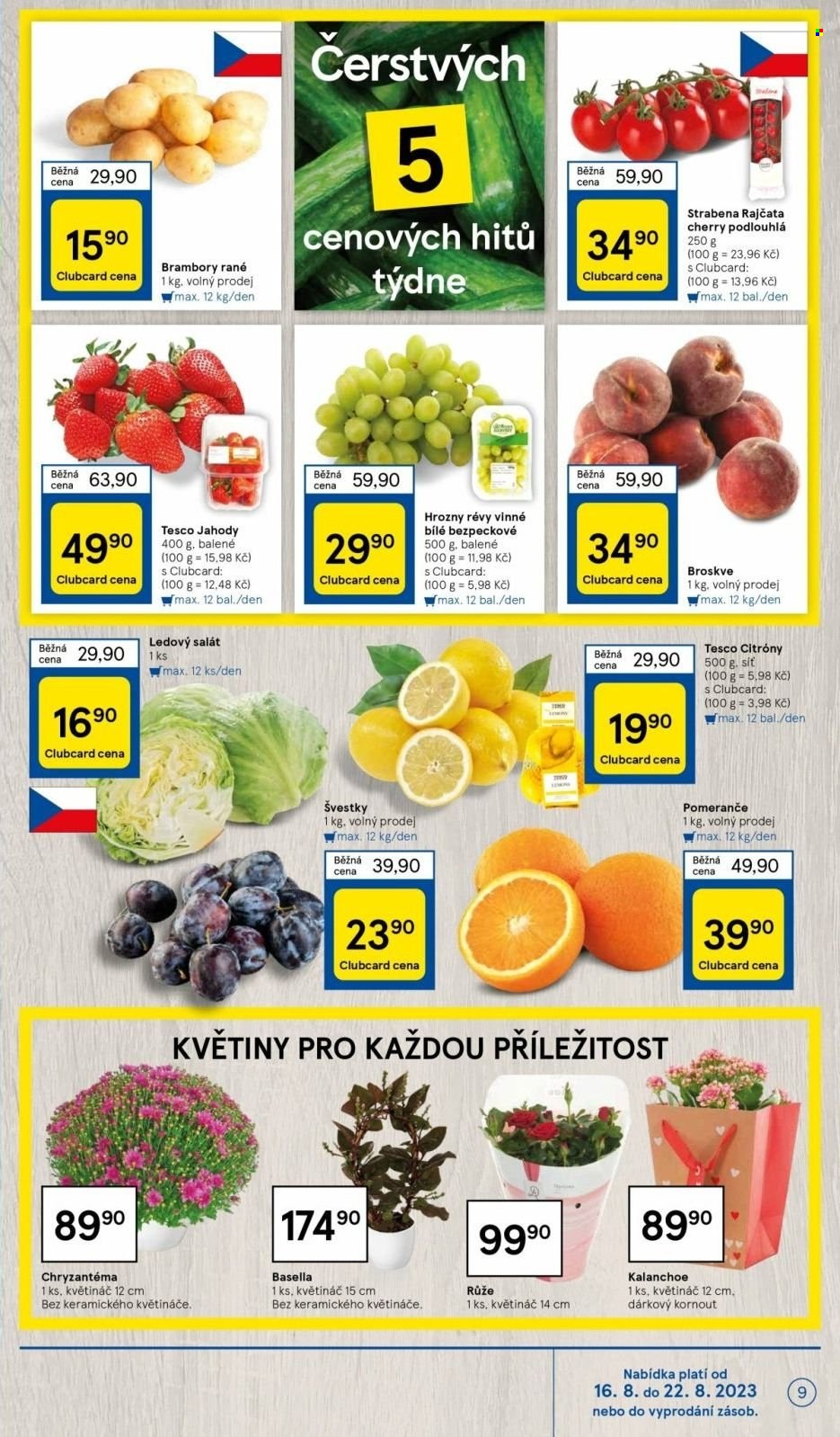 Leták TESCO - 16.8.2023 - 22.8.2023. Strana 9