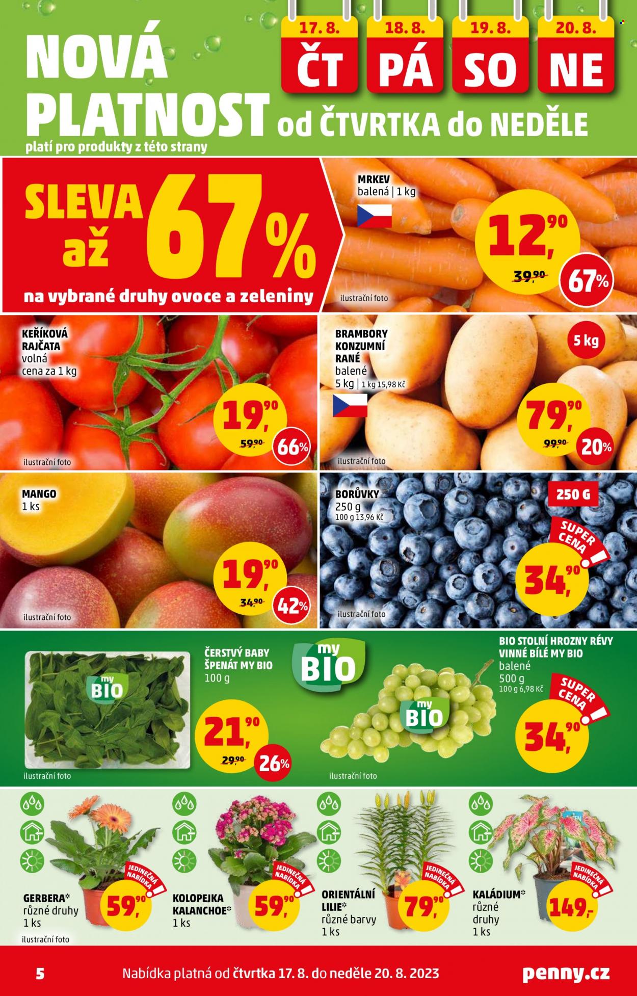 Leták PENNY - 17.8.2023 - 23.8.2023. Strana 5