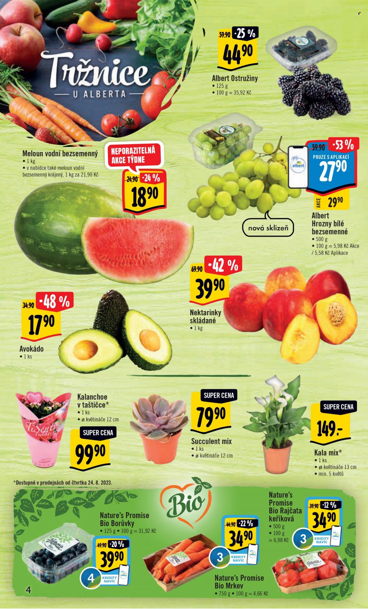 Leták Albert Hypermarket - 23.8.2023 - 29.8.2023. Strana 4