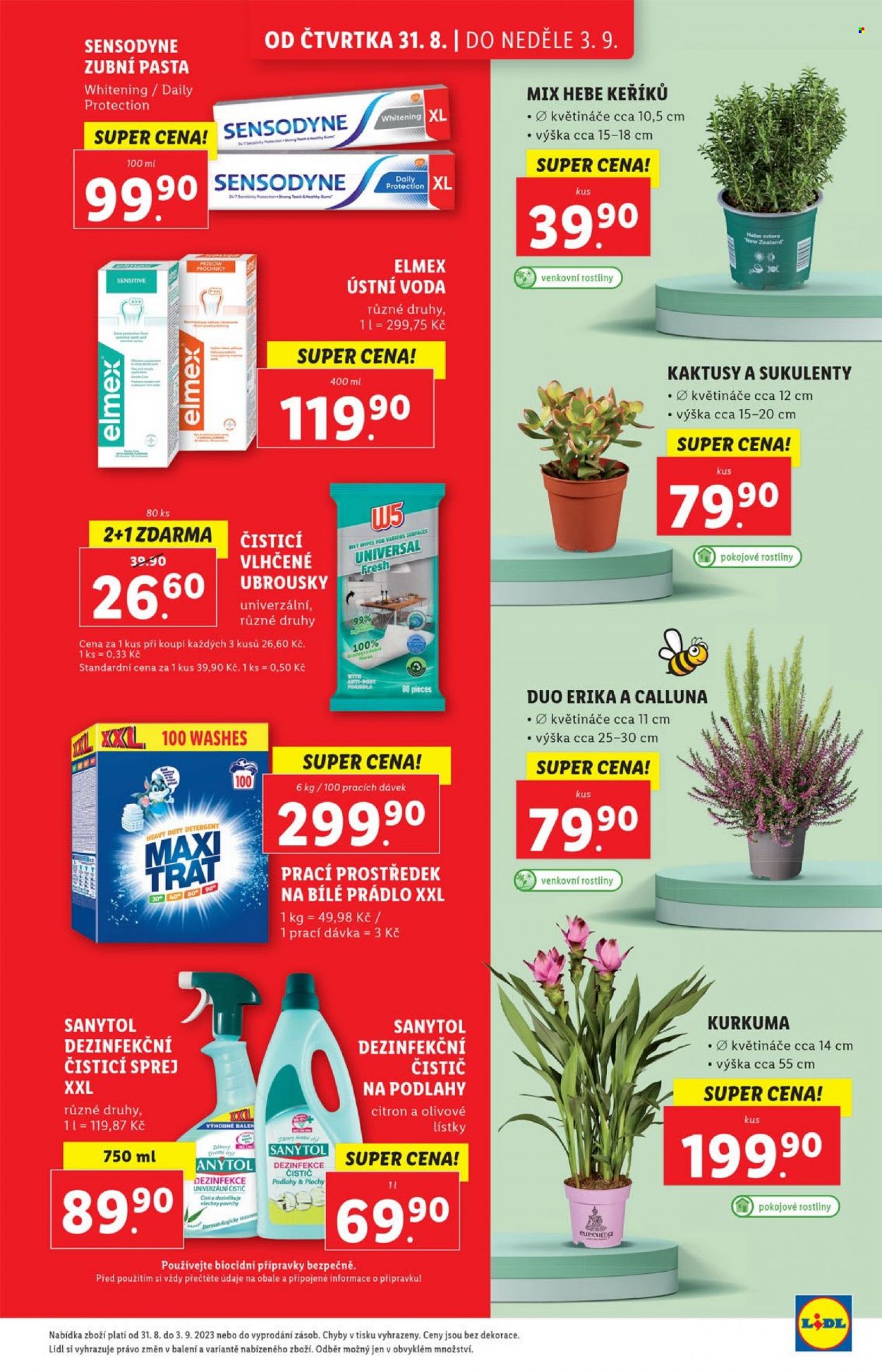 Leták Lidl - 31.8.2023 - 3.9.2023. Strana 13
