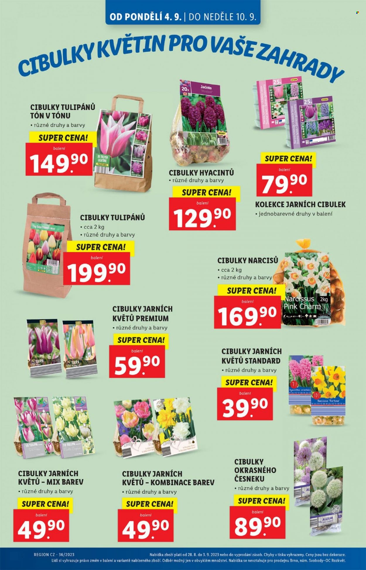 Leták Lidl - 4.9.2023 - 10.9.2023. Strana 21