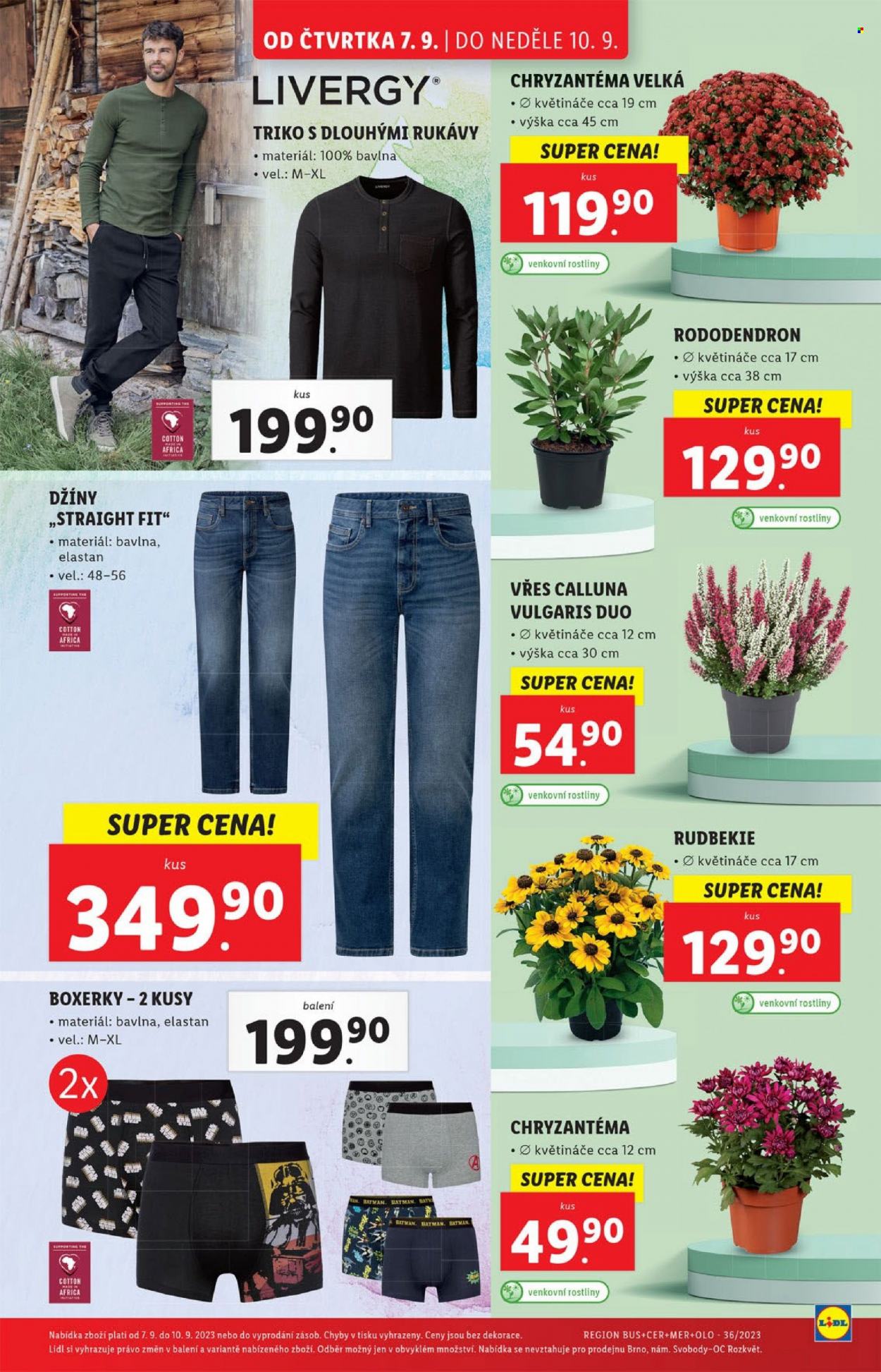 Leták Lidl - 7.9.2023 - 10.9.2023. Strana 29