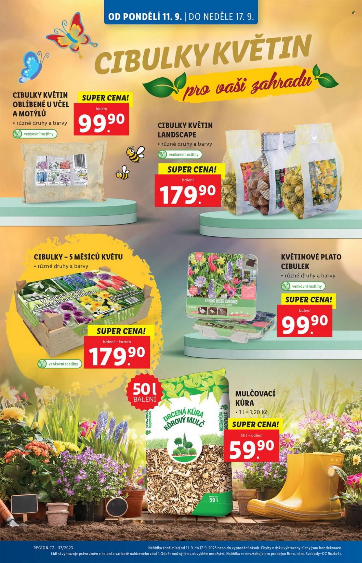 Leták Lidl - 11.9.2023 - 17.9.2023. Strana 38