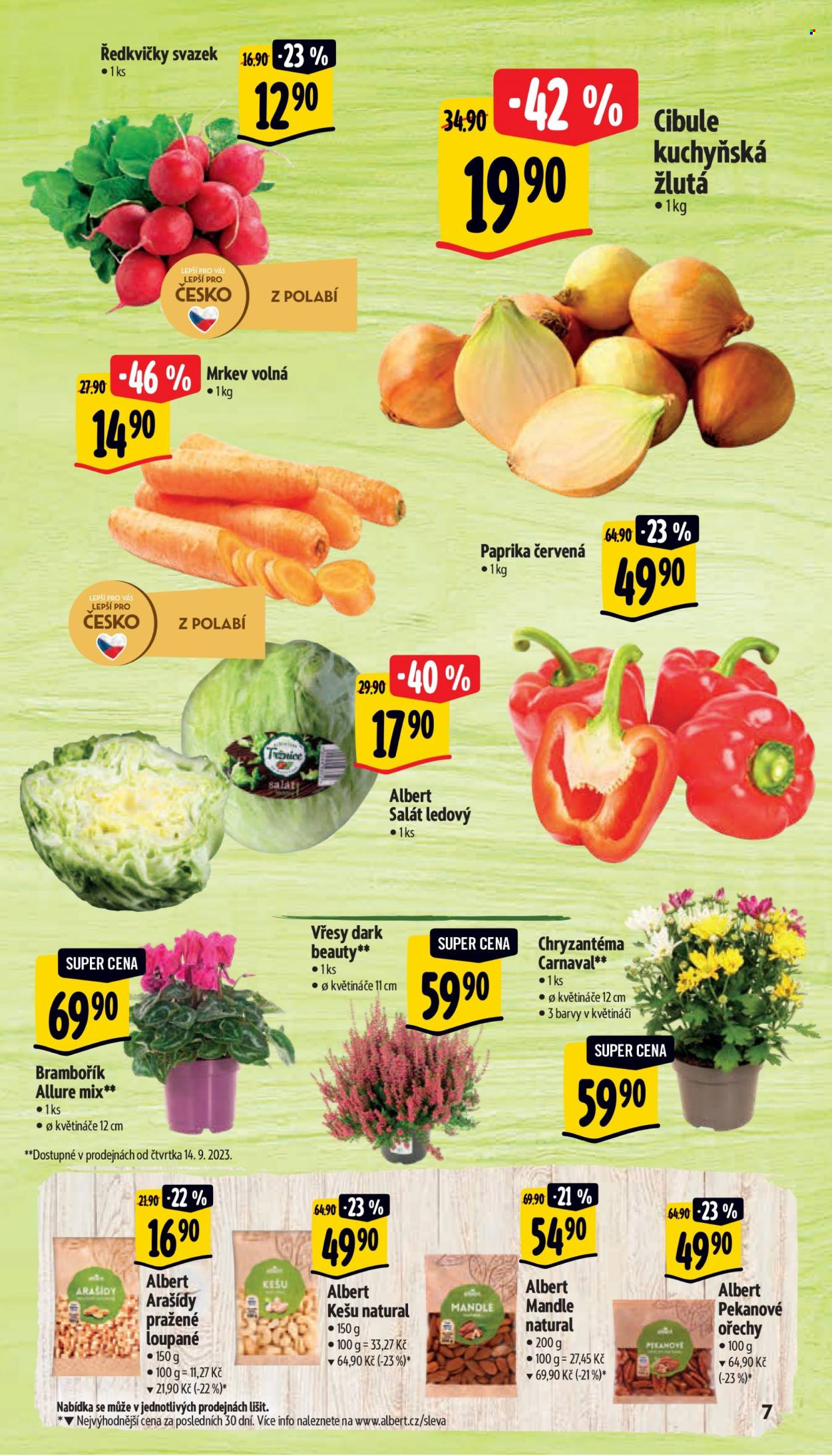 Leták Albert Supermarket - 13.9.2023 - 19.9.2023. Strana 7