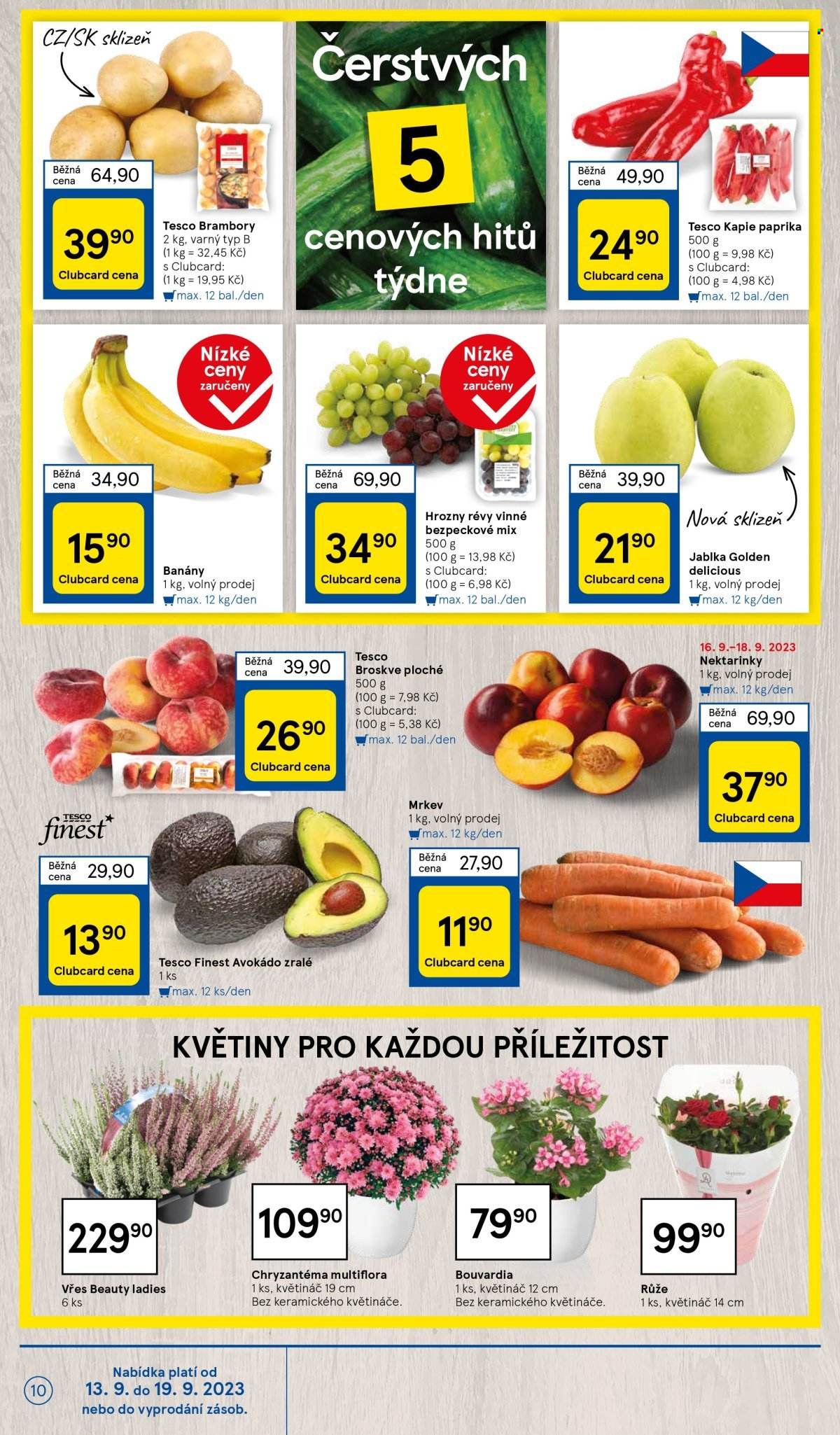 Leták TESCO - 13.9.2023 - 19.9.2023. Strana 10
