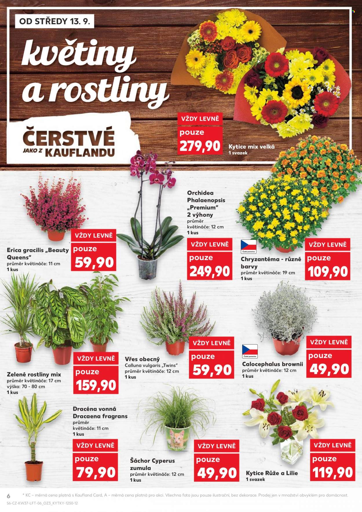 Leták Kaufland - 13.9.2023 - 19.9.2023. Strana 6