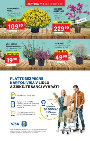thumbnail - Vřes obecný - Calluna vulgaris