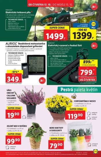 thumbnail - Vřes obecný - Calluna vulgaris