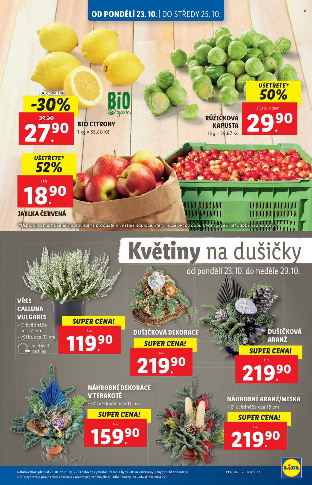 Leták Lidl - 23.10.2023 - 29.10.2023. Strana 3