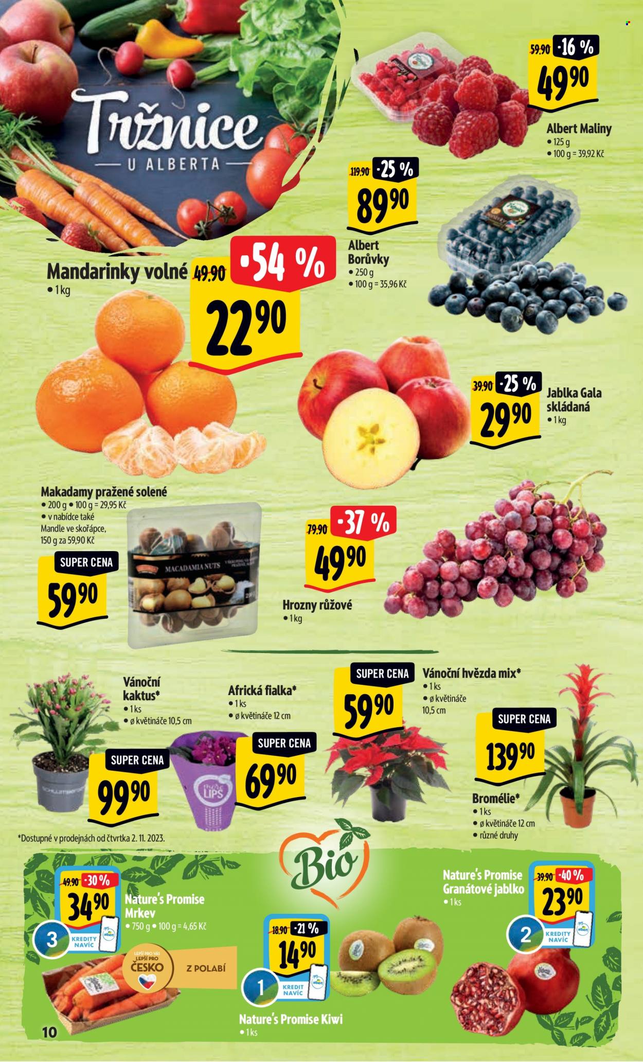 Leták Albert Hypermarket - 1.11.2023 - 7.11.2023. Strana 10
