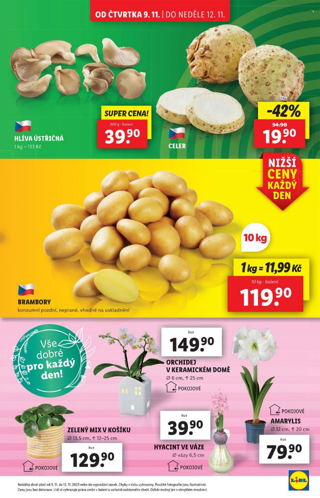 Leták Lidl - 9.11.2023 - 12.11.2023. Strana 5